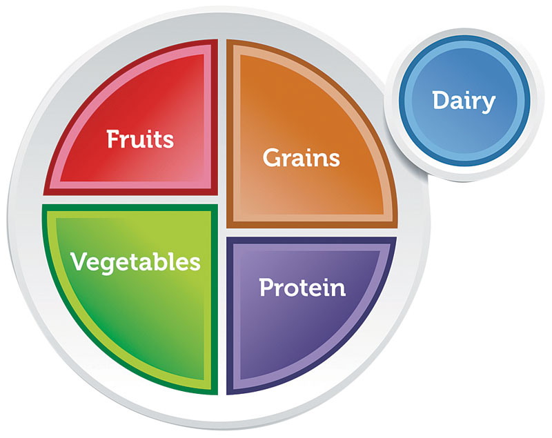 Mastering Nutrition: A Comprehensive Guide to Healthy Eating – Habitual ...